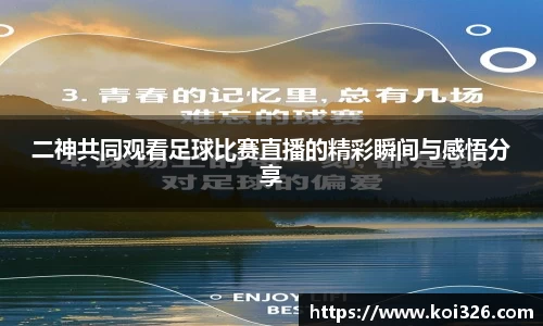 二神共同观看足球比赛直播的精彩瞬间与感悟分享