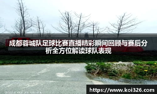 成都蓉城队足球比赛直播精彩瞬间回顾与赛后分析全方位解读球队表现