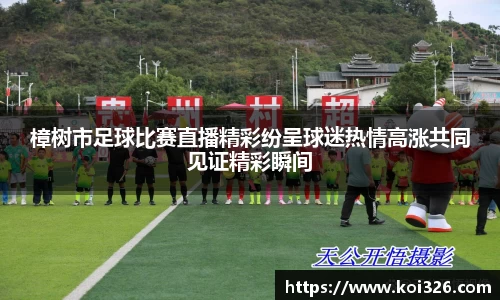 樟树市足球比赛直播精彩纷呈球迷热情高涨共同见证精彩瞬间