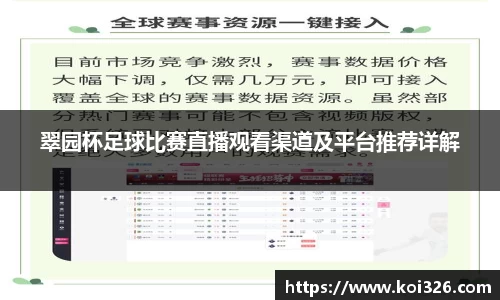 翠园杯足球比赛直播观看渠道及平台推荐详解